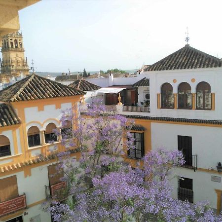 شقة La Casa De La Musica قرطبة المظهر الخارجي الصورة
